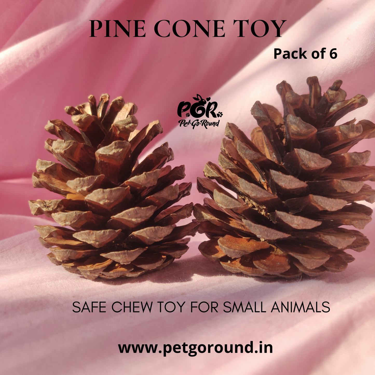 PGR Pine Cone Chew Toy (Pack of 5)